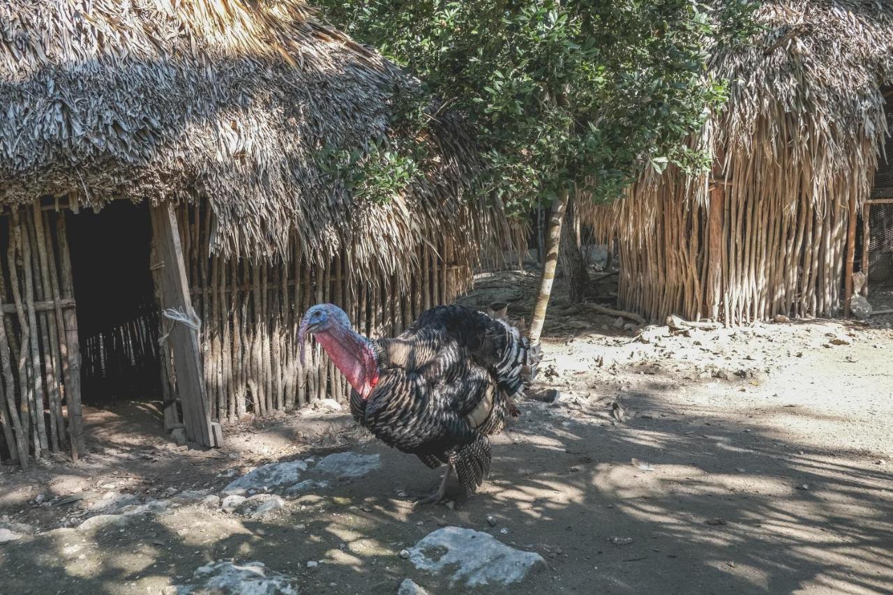 Wakax Hacienda - Cenote & Boutique Hotel - Small Luxury Hotels Of The World Tulum Exterior foto